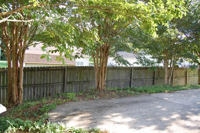 Listing photo 24